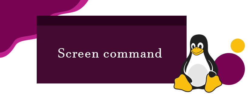 Screen command